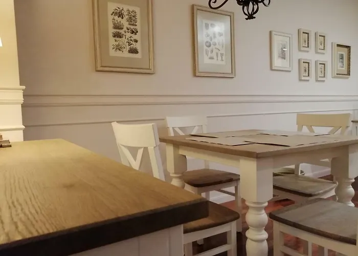 Apartament * Kolo (Greater Poland)